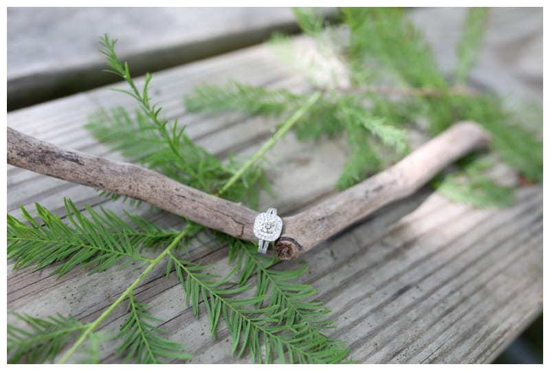 A Summer Engagement Session at Lake of the Woods in Mahomet, IL by Ebby L Photography