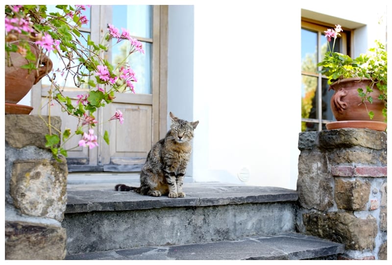 Ebby L Photography goes to Italy Photos