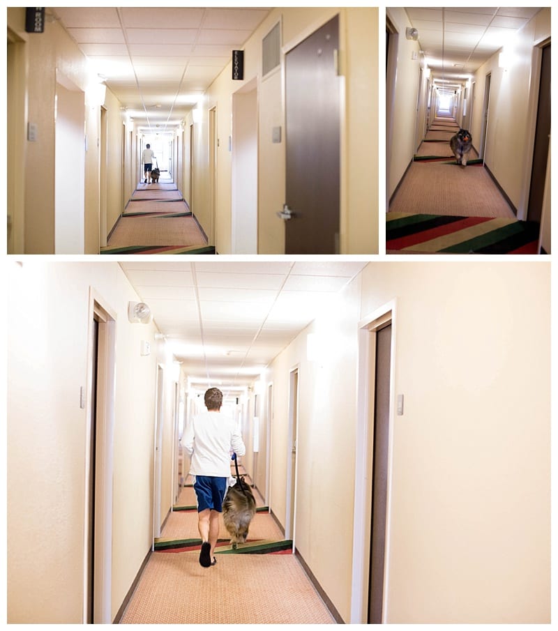 Bear in the hotel by Ebby L Photography