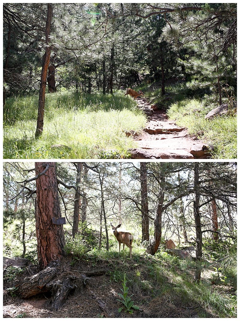 Colorado Love by Ebby L Photography