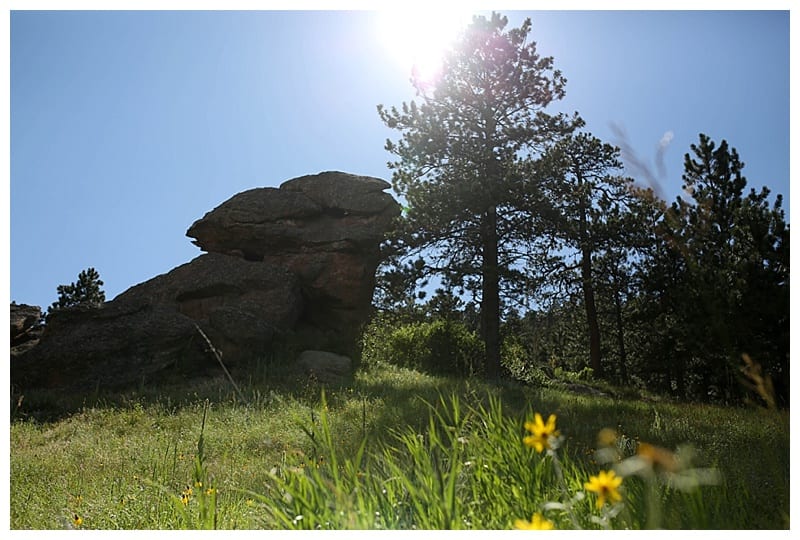 Colorado Love by Ebby L Photography