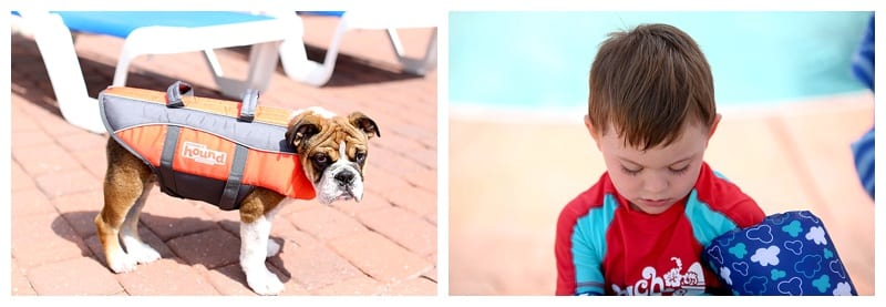 My trip to Corolla, NC by Ebby L Photography