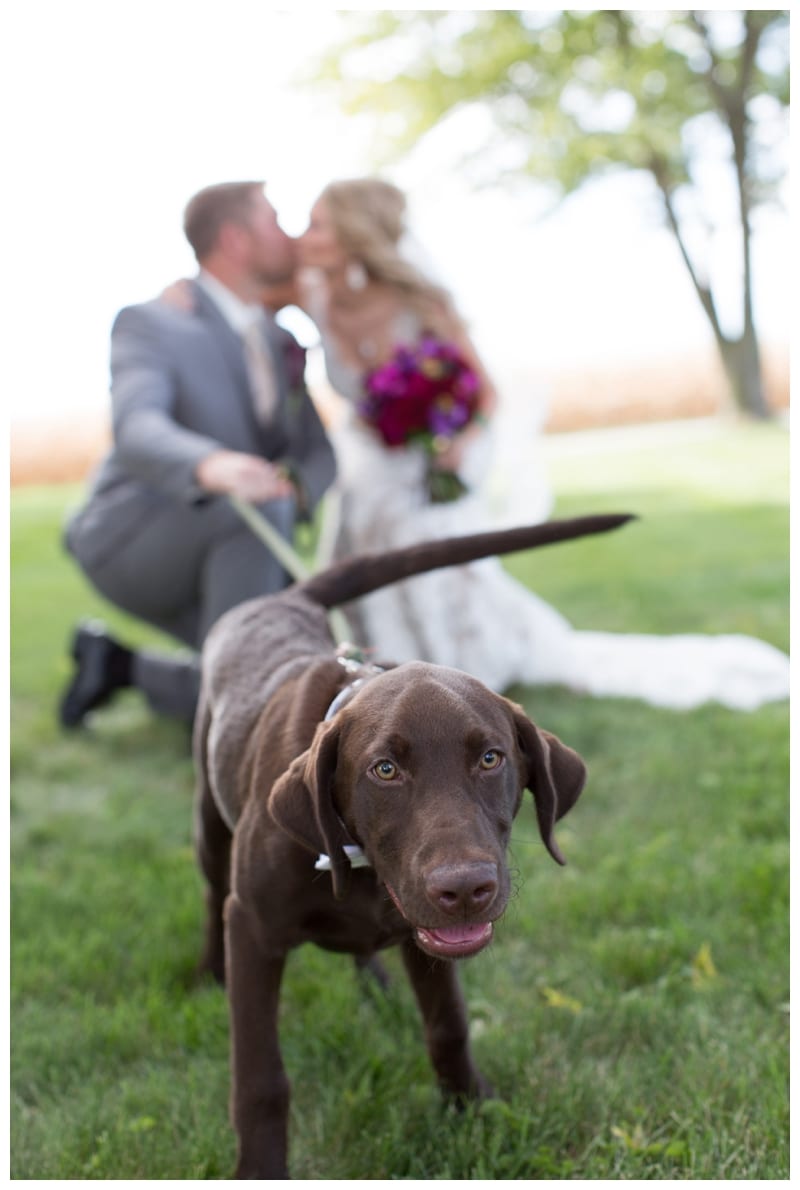 Derek & Kimberly's Country Wedding in Champaign, IL Photos by Ebby L Photography