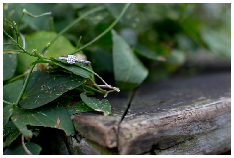 College Sweethearts engagement session in Downtown Champaign, IL Photos