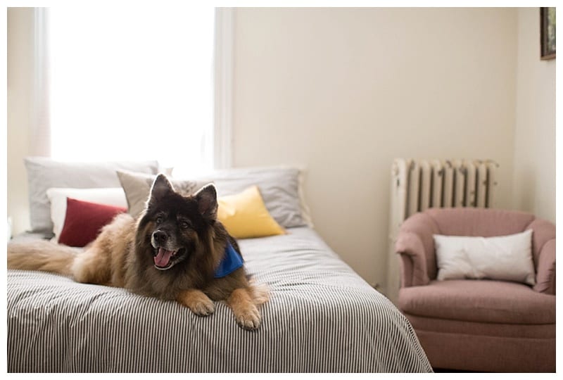 Our New Home ft. Bear Bear by Ebby L Photography