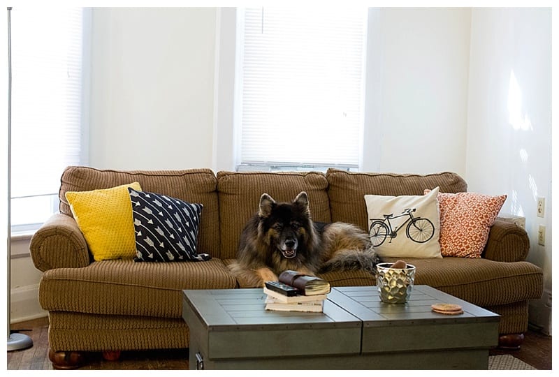 Our New Home ft. Bear Bear by Ebby L Photography