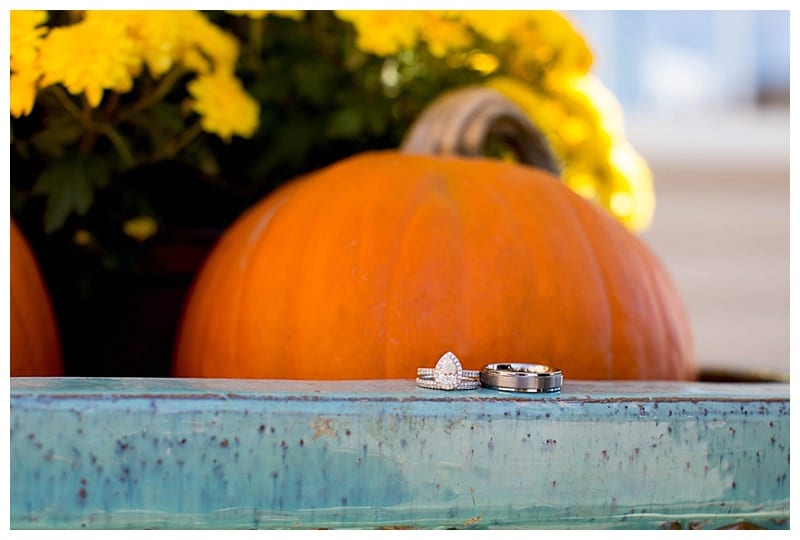A Vibrant Pine Green and Fuchsia Wedding in Mahomet, IL Photos by Ebby L Photography