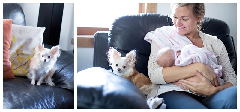 Newborn Baby Sylvia in Clinton, IL Photos by Ebby L Photography
