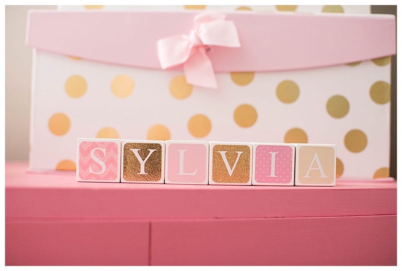Newborn Baby Sylvia in Clinton, IL Photos by Ebby L Photography