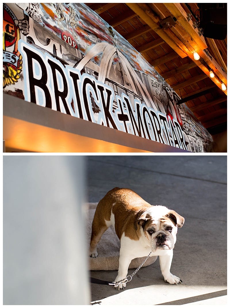 My trip to Los Angeles California Photos_0125 by Ebby L Photography