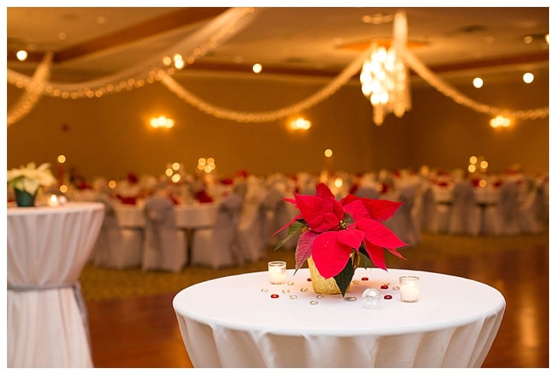 Hawthorne Suites Winter Wedding Reception in Champaign, IL Photos by Ebby L Photography