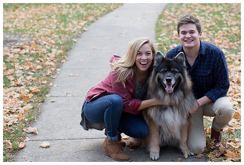 Merry Everything from Ebby L Photography in Champaign, IL Photos