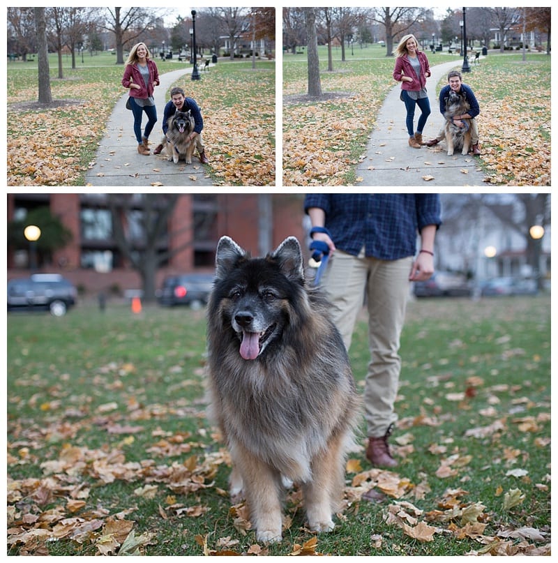 Merry Everything from Ebby L Photography in Champaign, IL Photos