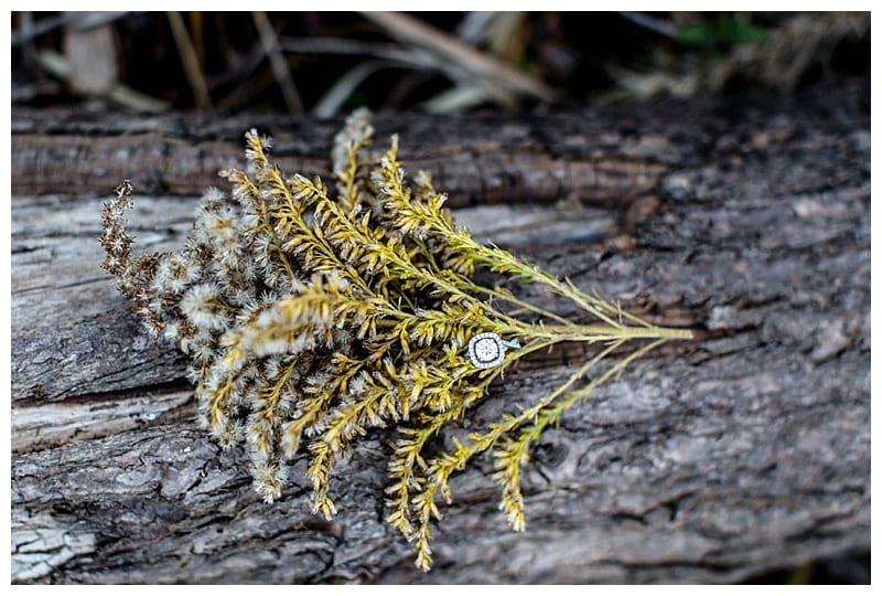 Ebby L Photography Favorite Portraits of 2015 Photos_0586