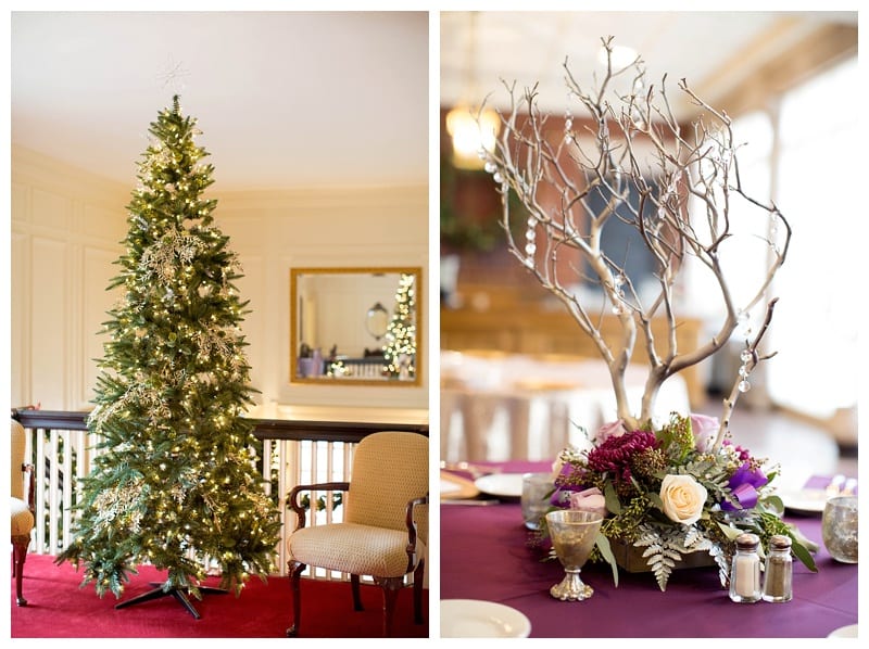 A New Year's Day Wedding at Allerton Park Mansion in Monticello, IL by Ebby L Photography Photos
