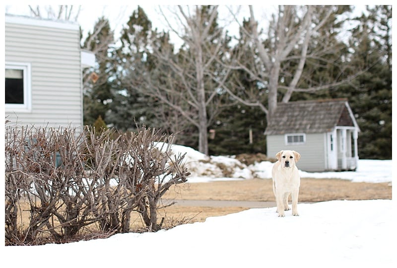 Family Time in North Dakota by Ebby L Photography Photos