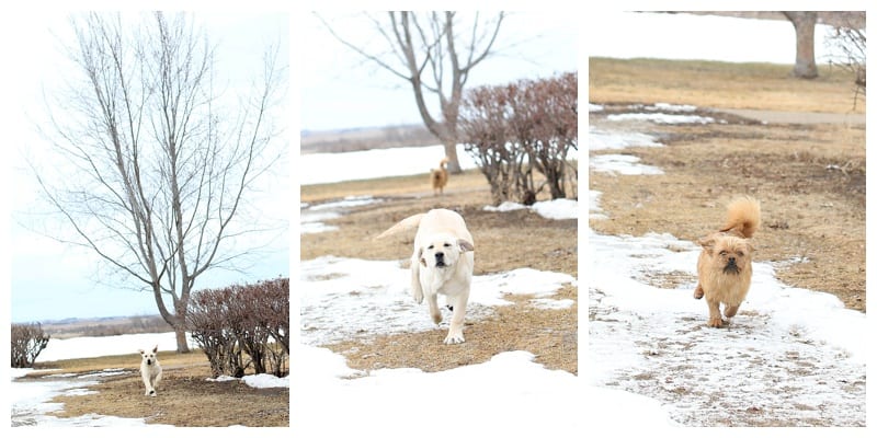 Family Time in North Dakota by Ebby L Photography Photos