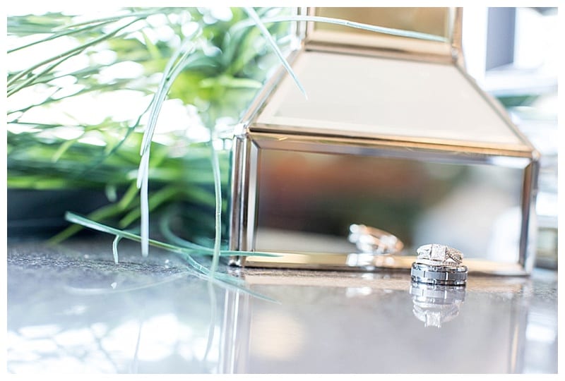 Pink and Tan Spring Wedding Central IL by Ebby L Photography_0941