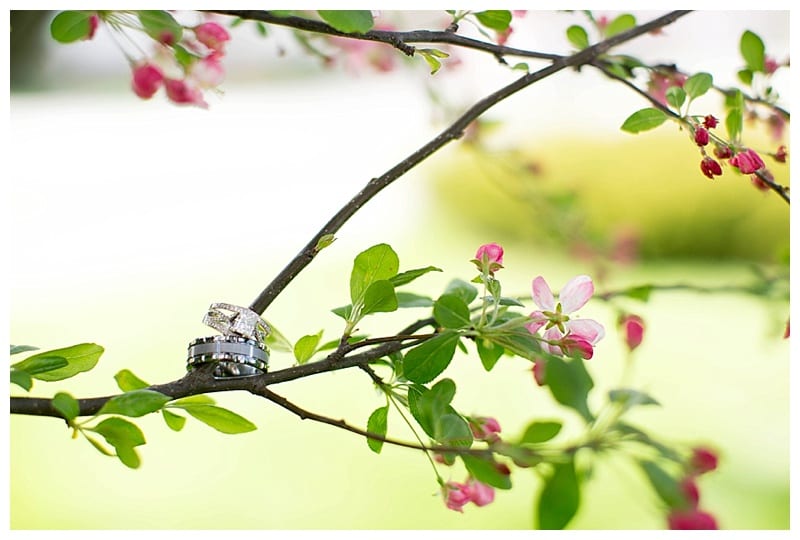 Pink and Tan Spring Wedding Central IL by Ebby L Photography_0941