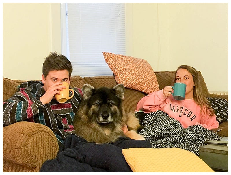 German Shepherd Husky Malamute Mix Photos