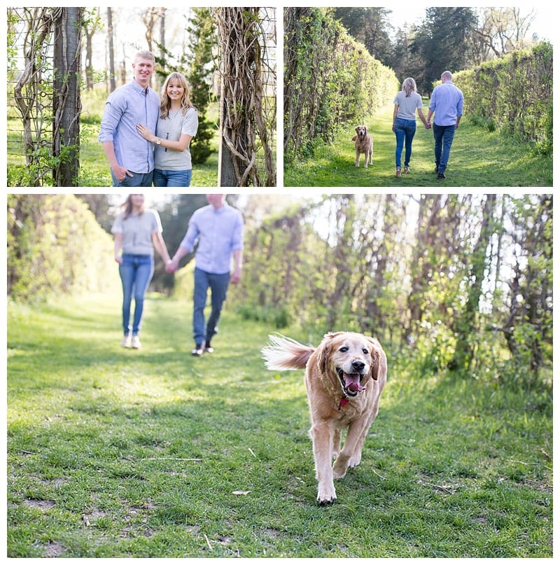 Dreamy Sunlight Engagement Session Central IL by Ebby L Photography_1079