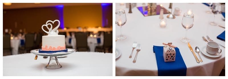 Navy and Pink Spring Wedding Central IL by Ebby L Photography Photos_1098