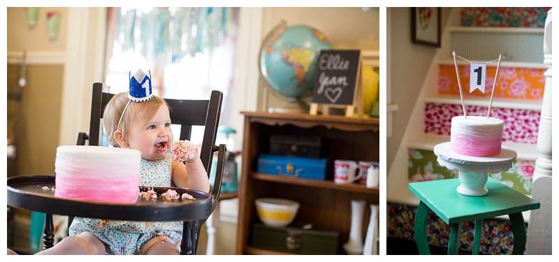 One Year Old Photos Central IL by Ebby L Photography Photos_1170