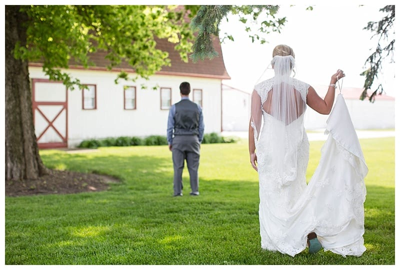 Rustic Hudson Farms Wedding, Champaign IL by Ebby L Photography photos_1313