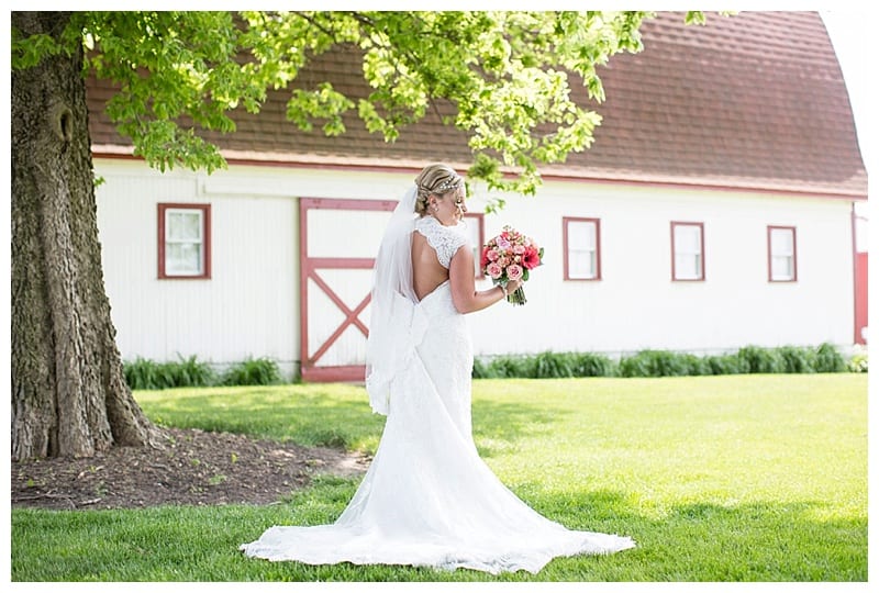 Rustic Hudson Farms Wedding, Champaign IL by Ebby L Photography photos_1313