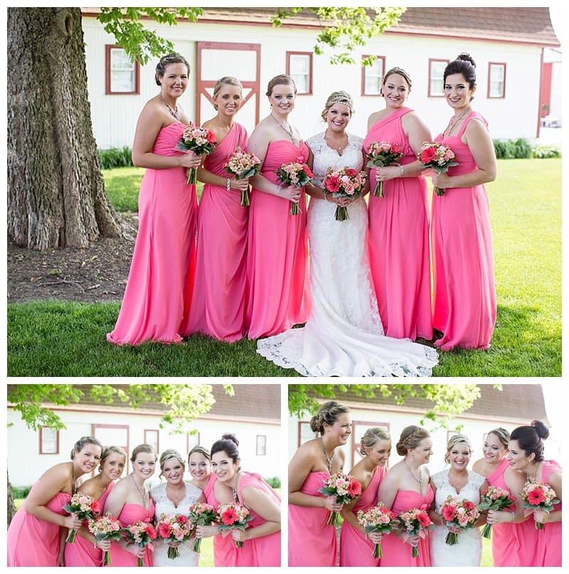 Rustic Hudson Farms Wedding, Champaign IL by Ebby L Photography photos_1313