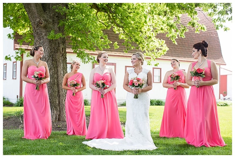 Rustic Hudson Farms Wedding, Champaign IL by Ebby L Photography photos_1313