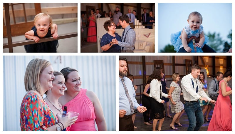 Rustic Hudson Farms Wedding, Champaign IL by Ebby L Photography photos_1313