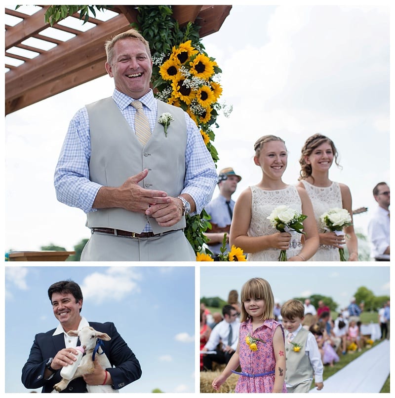 baby lamb in wedding