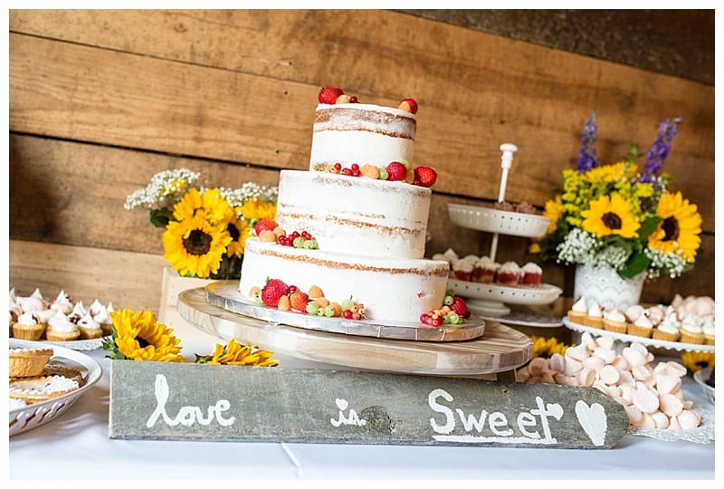 hopescotch artsy cake champaign il