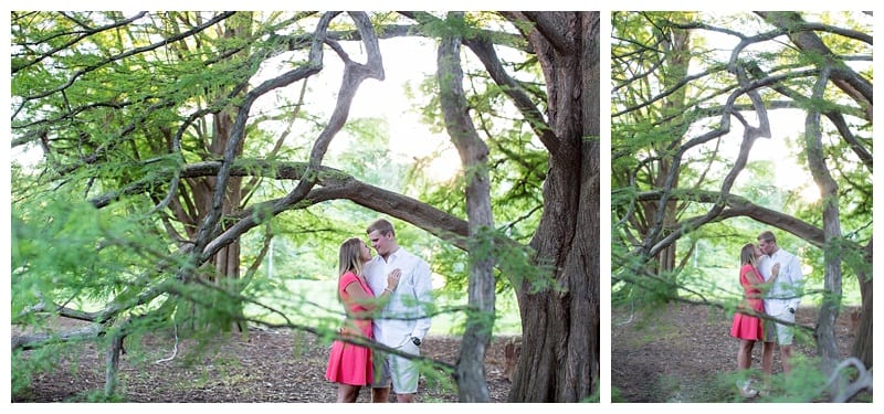 fancy engagement photos