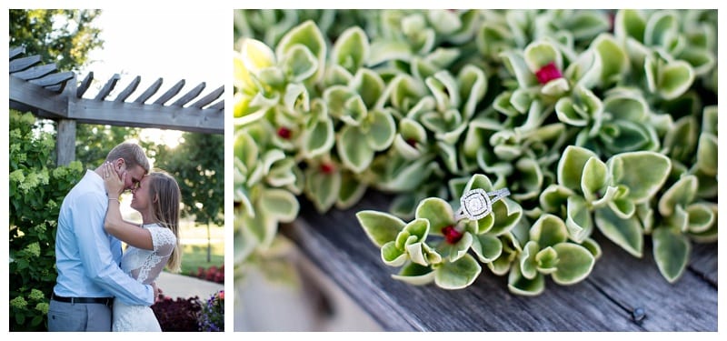 succulent ring pic