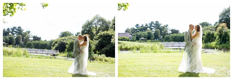 cathedral veil pics