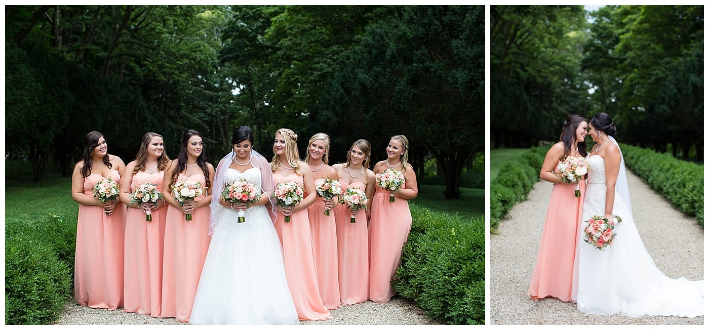 elite bridal bridesmaids dresses