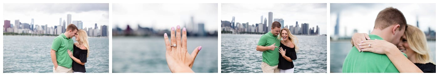 adler planetarium proposal