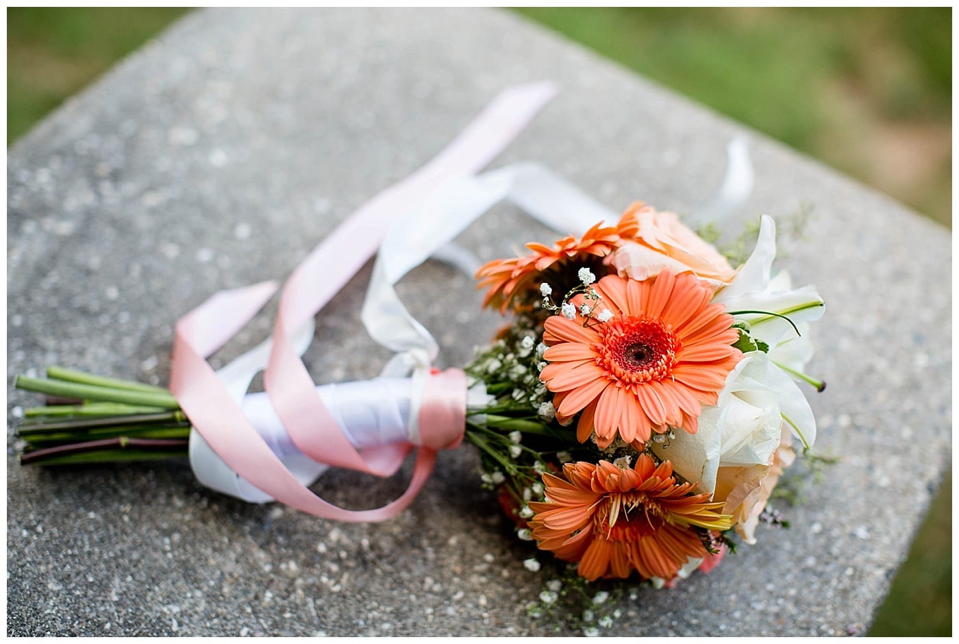 pink and orange flowers
