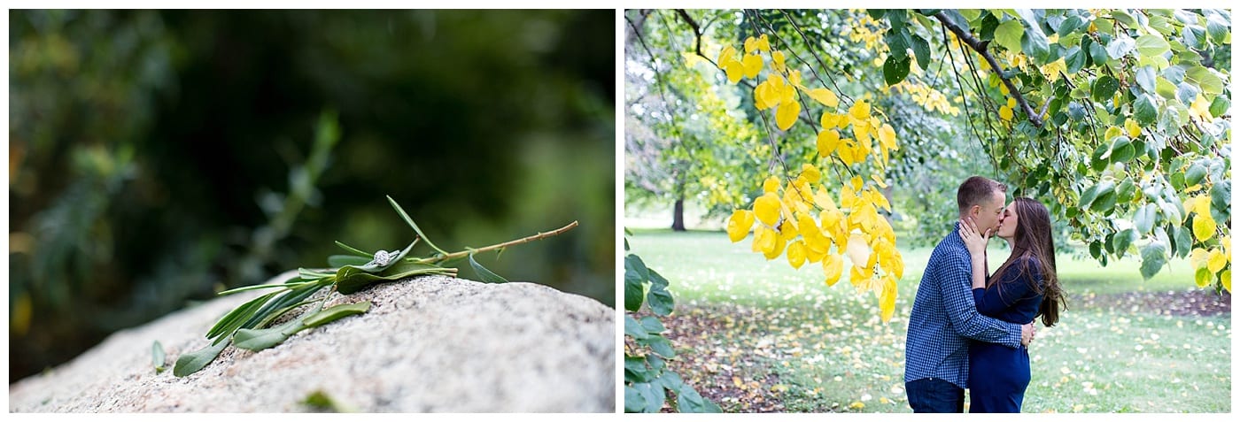 fall engagement pictures