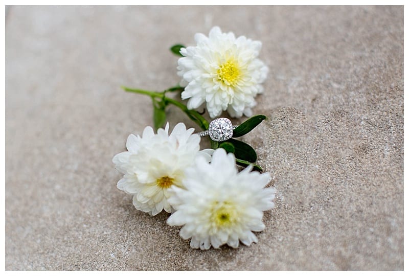adorable-allerton-engagement-monticello-il-photos_0062