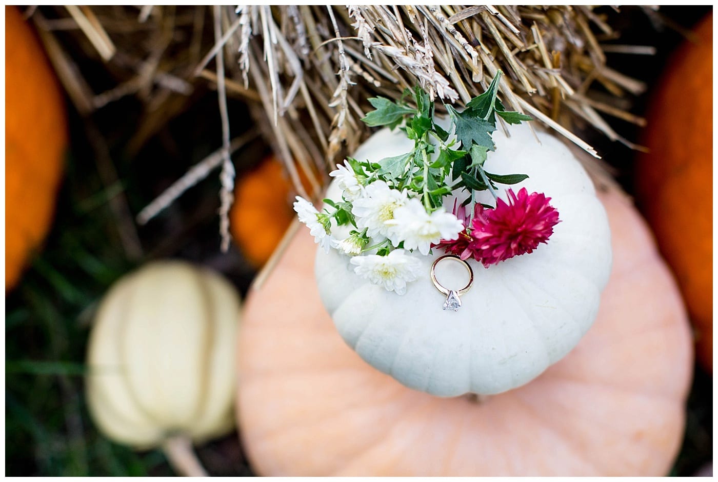 joyful-engagement-session-lake-of-the-woods-mahomet-il-photos_2846