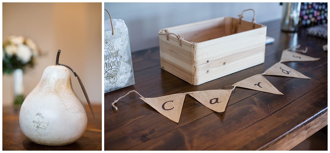 timeless-pear-tree-estate-wedding-champaign-il-photos_2933