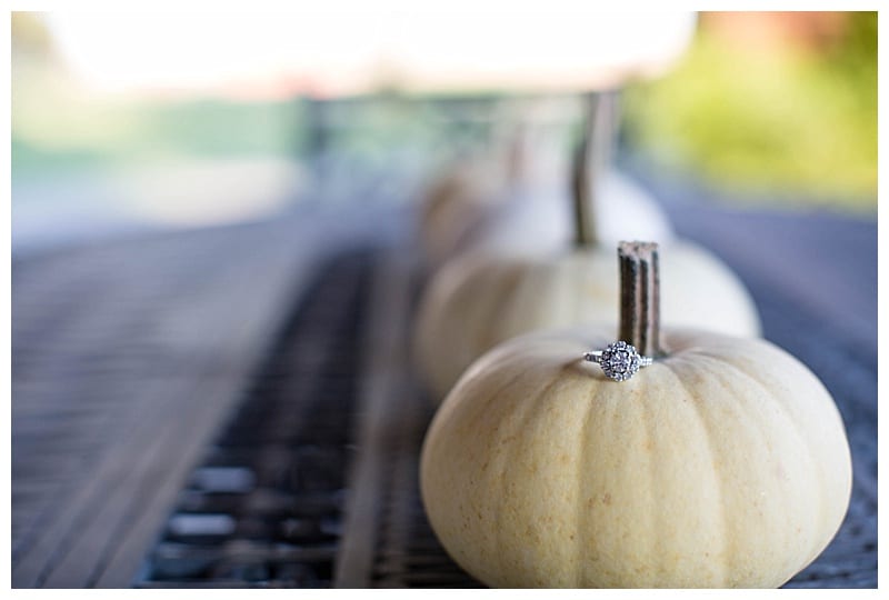rustic-country-engagement-session-champaign-il-photos_0097