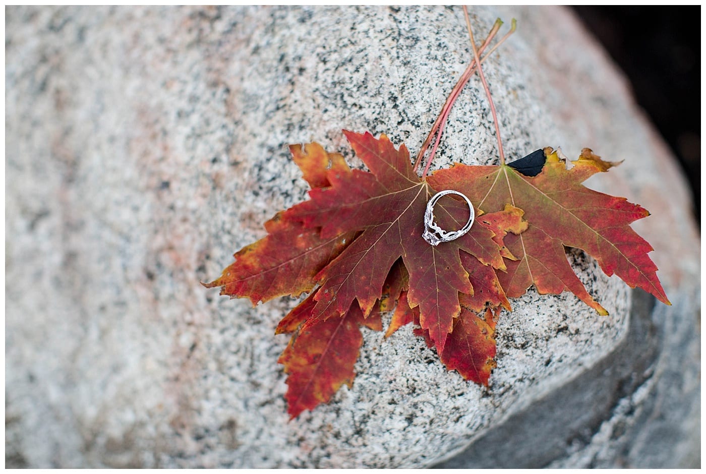 downtown-champaign-illinois-engagement-photos_3145