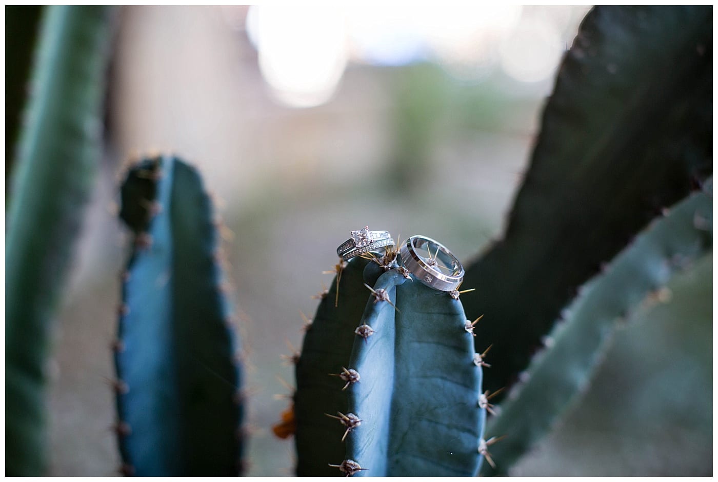 troon-north-wedding-scottsdale-az-photos_3156