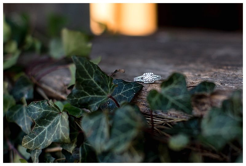 rural-kentucky-engagement-louisville-kentucky-photos_0188