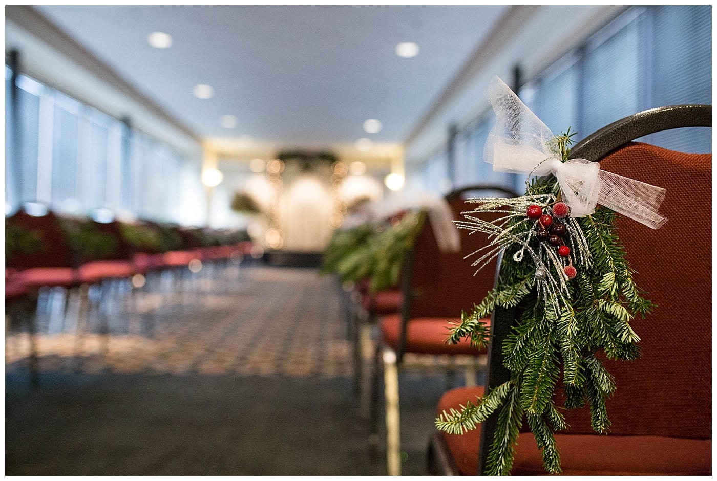 plum-winter-wedding-hawthorne-suites-champaign-il-photos_3303