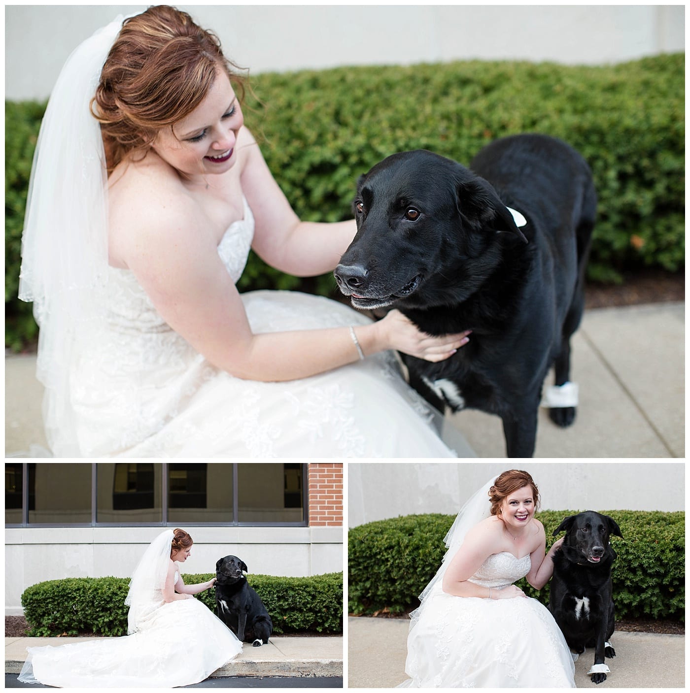 plum-winter-wedding-hawthorne-suites-champaign-il-photos_3328
